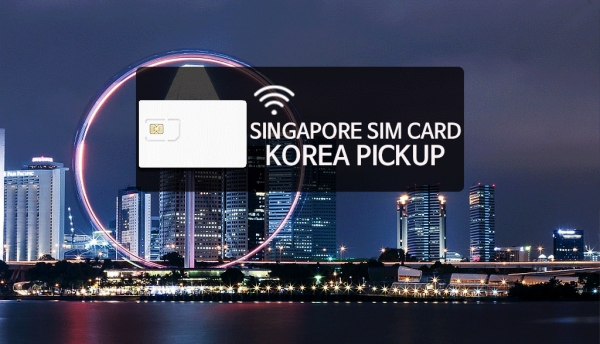 [말레이시아] 싱가포르 & 말레이시아 6일 4G LTE 유심칩