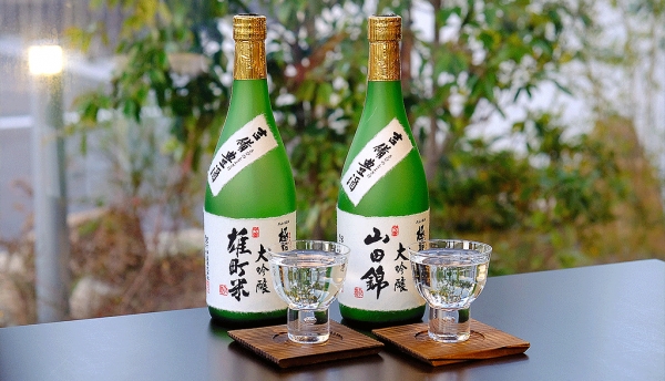 [교토] 미야시타 술공방 일본술 & 맥주 체험